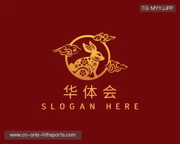 关于华体会